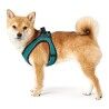 Imbracatura per Cani Hunter Hilo Comfort 55-60 cm Taglia M Turchese