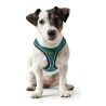 Imbracatura per Cani Hunter Hilo Comfort 55-60 cm Taglia M Turchese
