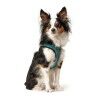 Imbracatura per Cani Hunter Hilo Comfort 55-60 cm Taglia M Turchese