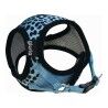 Imbracatura per Cani Gloria Leopardo M 27-35 cm Azzurro