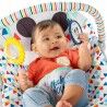 Amaca per Neonati Disney Mickey