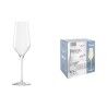 Calice da champagne Inde Passion 250 ml 6 Pezzi
