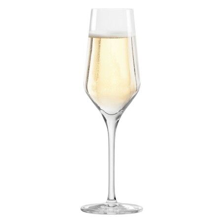 Calice da champagne Inde Passion 250 ml 6 Pezzi