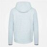 Felpa con Cappuccio Uomo Le coq sportif Tech Grigio