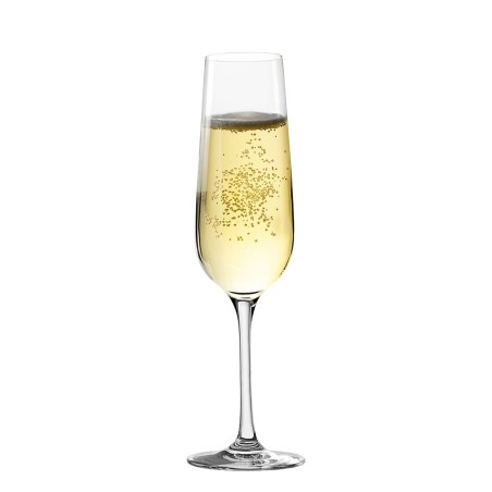Calice da champagne Inde Sensation Ø 5 cm 220 ml 6 Pezzi