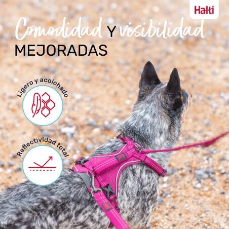 Imbracatura per Cani Company of Animals Bordeaux L 42-65 cm