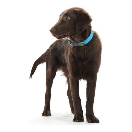 Collare per Cani Hunter Convenience Turchese (42-50 cm)