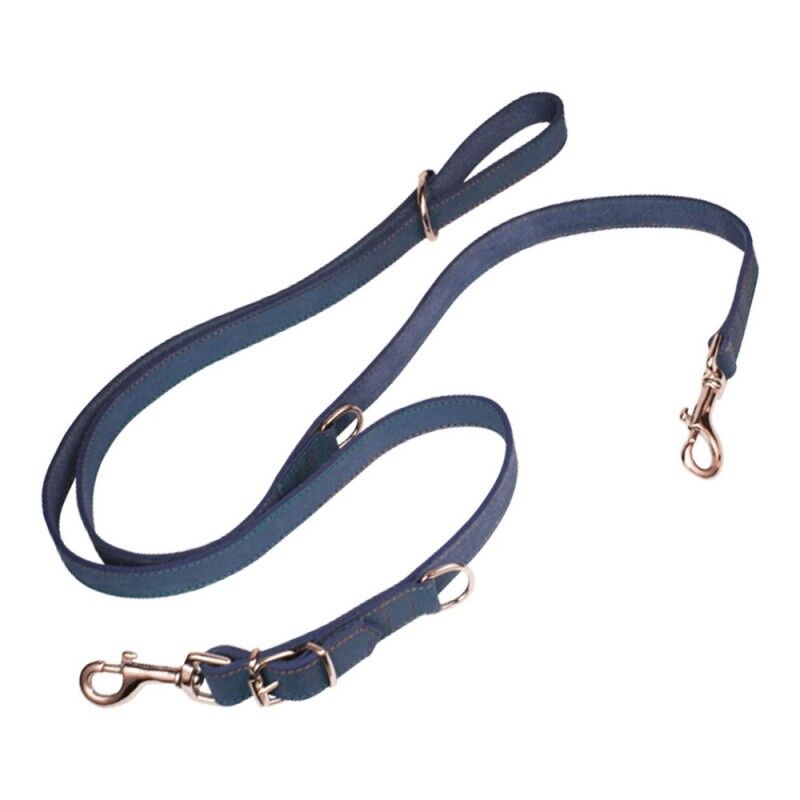 Guinzaglio per Cani Gloria Oasis Multiplo 2.1 x 200 cm Azzurro Guinzaglio per Cani Gloria Oasis Multiplo 2.1 x 200 cm Azzurro