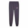 Pantalone di Tuta per Adulti Puma Ess+ 2 Grigio scuro Uomo