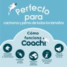Giocattolo da allenamento Coachi CHASE & CRINKLE Azzurro