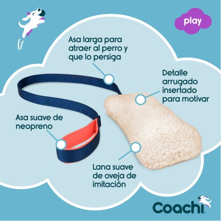Giocattolo da allenamento Coachi CHASE & CRINKLE Azzurro