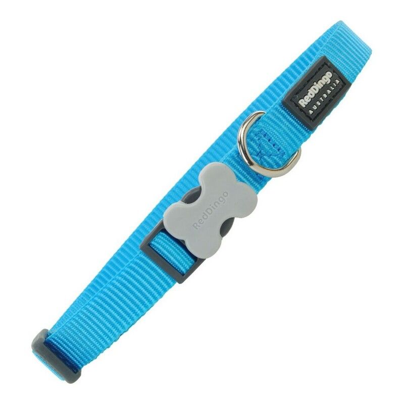 Collare per Cani Red Dingo Turchese (2,5 x 41-63 cm) Collare per Cani Red Dingo Turchese (2,5 x 41-63 cm)