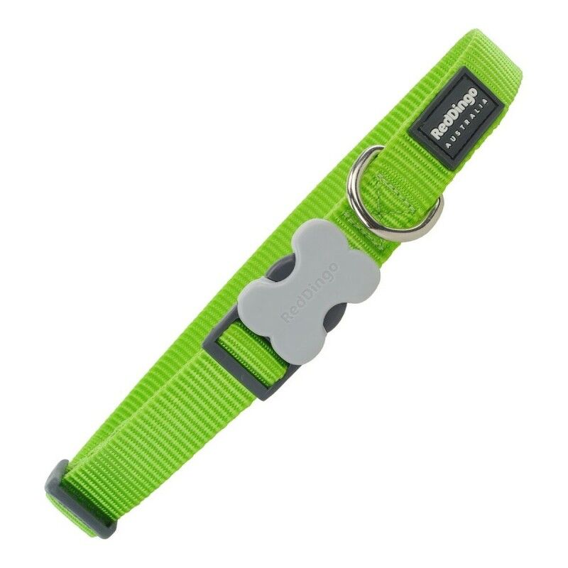 Collare per Cani Red Dingo Lime (2,5 x 41-63 cm) Collare per Cani Red Dingo Lime (2,5 x 41-63 cm)
