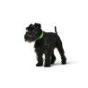Collare per Cani Hunter Convenience 47-55 cm L Verde