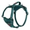 Imbracatura per Cani Company of Animals Turchese XS 20-32 cm