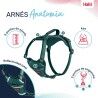 Imbracatura per Cani Company of Animals Turchese XS 20-32 cm