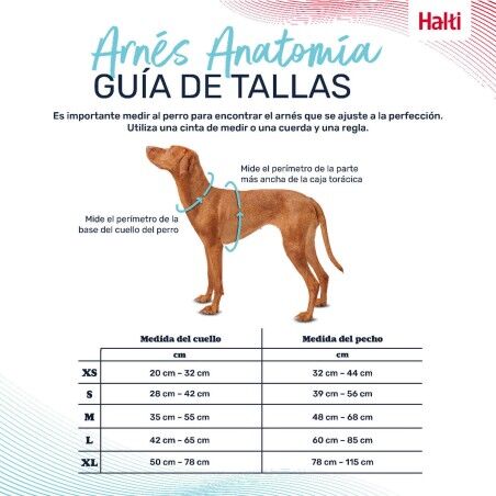 Imbracatura per Cani Company of Animals Turchese XS 20-32 cm