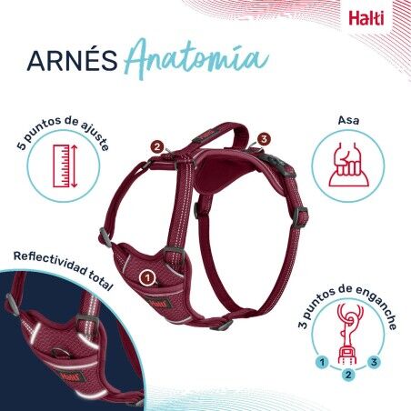 Imbracatura per Cani Company of Animals Bordeaux S 28-42 cm