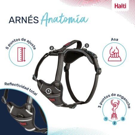 Imbracatura per Cani Company of Animals Grigio S 28-42 cm