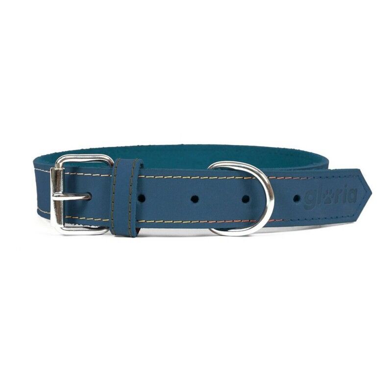 Collare per Cani Gloria Oasis Azzurro (1,2 x 35 cm) Collare per Cani Gloria Oasis Azzurro (1,2 x 35 cm)