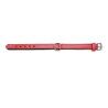Collare per Cani Gloria Trapunta Rosso 50 cm (50 x 2,5 cm)