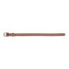 Collare per Cani Gloria Oasis Marrone (45 x 1,8 cm)