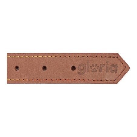 Collare per Cani Gloria Oasis Marrone (45 x 1,8 cm)