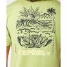 Maglia a Maniche Corte Uomo Rip Curl Surf Paradise FB