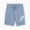 Pantaloncino Sportivo Puma POWER Graphic Zen Azzurro