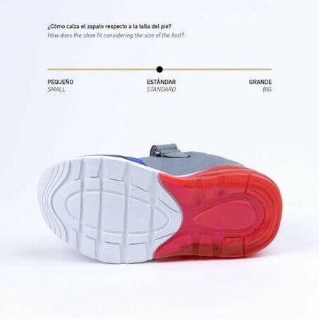 Scarpe Sportive per Bambini The Paw Patrol Grigio chiaro