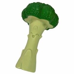 Giocattoli per cani Nylabone Verde Artificiale L
