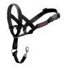 Collari da addestramento per cani Company of Animals Halti Nero Museruola (35-48 cm)