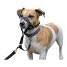 Collari da addestramento per cani Company of Animals Halti Nero Museruola (31-40 cm)
