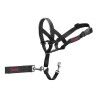 Collari da addestramento per cani Company of Animals Halti Nero Museruola (31-40 cm)