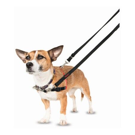 Imbracatura per Cani Company of Animals Halti Nero/Rosso Taglia S (36-64 cm)