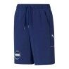 Pantalone di Tuta per Bambini Puma Alpha