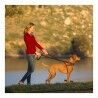 Imbracatura per Cani Company of Animals Halti Nero/Rosso L (80-120 cm)