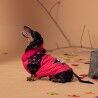 Cappotto per Cani Minnie Mouse Nero Rosso M