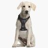 Imbracatura per Cani Star Wars Nero XXS