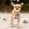 Imbracatura per Cani Disney XXS/XS Grigio