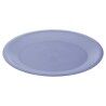 Piatto da pranzo Azzurro Rosso Verde Plastica (Ricondizionati B)