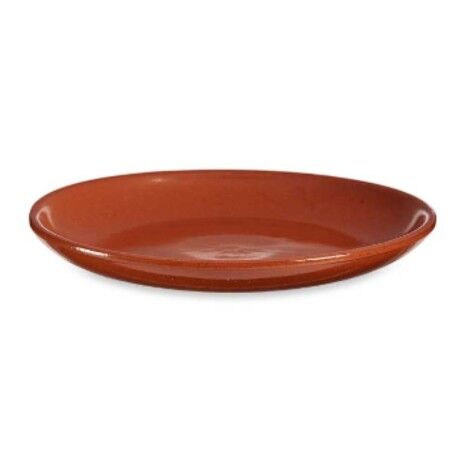 Piatto da pranzo Argilla cotta 23 x 2 x 23 cm Carne (10 Unità)