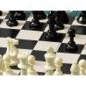 Scacchi Cayro My First Chess