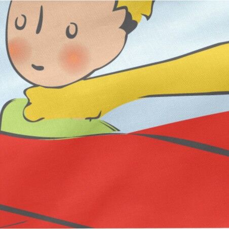 Copripiumone a sacco con Piumone HappyFriday Le Petit Prince Son Avion Multicolore 105 x 200 cm