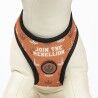 Imbracatura per Cani Star Wars Reversibile