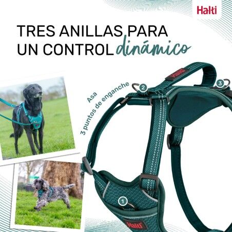 Imbracatura per Cani Company of Animals Turchese S 28-42 cm
