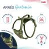 Imbracatura per Cani Company of Animals Verde XL 50-78 cm
