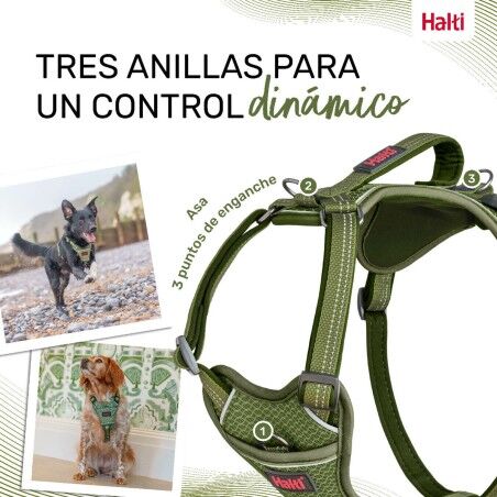 Imbracatura per Cani Company of Animals Verde XL 50-78 cm