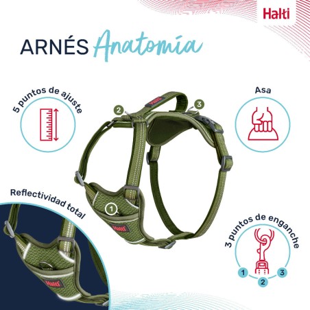 Imbracatura per Cani Company of Animals Verde XS 20-32 cm