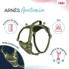 Imbracatura per Cani Company of Animals Verde XS 20-32 cm